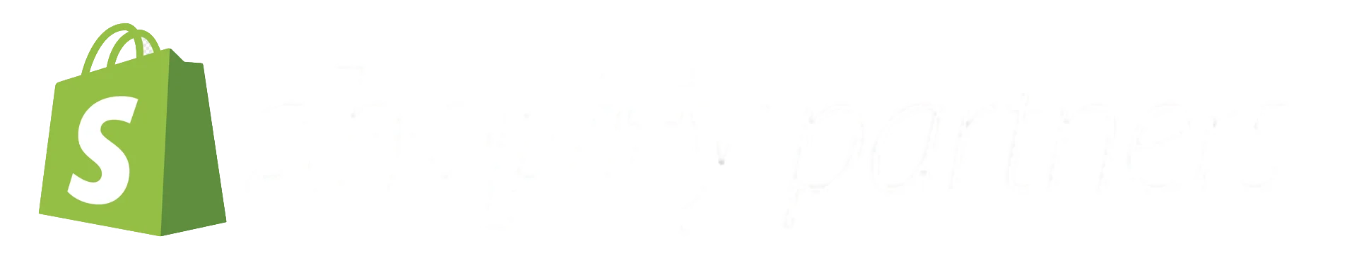 Shopify Partner